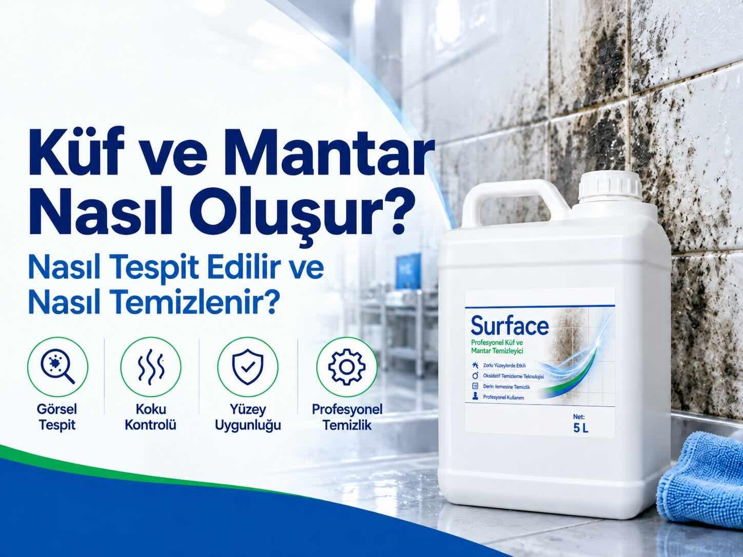Küf ve Mantar Nasıl Oluşur, Nasıl Tespit Edilir ve Nasıl Temizlenir?
